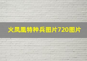 火凤凰特种兵图片720图片