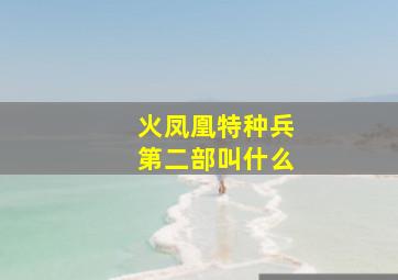 火凤凰特种兵第二部叫什么