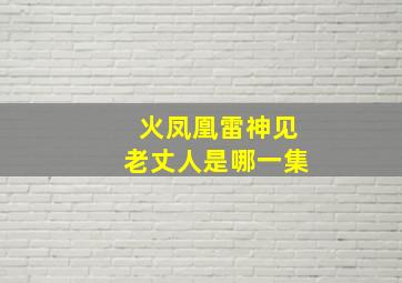 火凤凰雷神见老丈人是哪一集