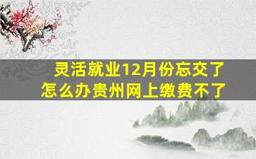 灵活就业12月份忘交了怎么办贵州网上缴费不了