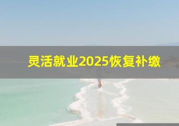 灵活就业2025恢复补缴