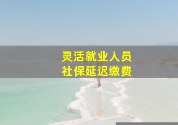 灵活就业人员社保延迟缴费