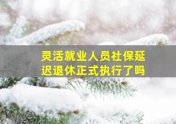 灵活就业人员社保延迟退休正式执行了吗