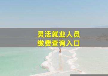 灵活就业人员缴费查询入口