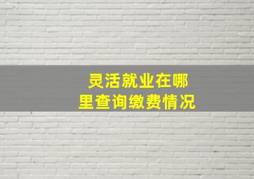 灵活就业在哪里查询缴费情况