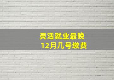 灵活就业最晚12月几号缴费