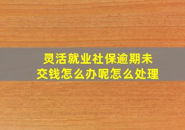 灵活就业社保逾期未交钱怎么办呢怎么处理