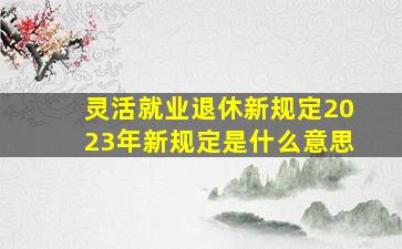 灵活就业退休新规定2023年新规定是什么意思