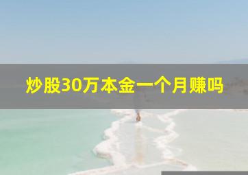 炒股30万本金一个月赚吗