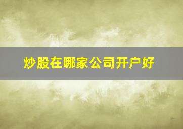 炒股在哪家公司开户好