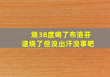 烧38度喝了布洛芬退烧了但没出汗没事吧