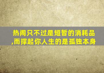 热闹只不过是短暂的消耗品,而撑起你人生的是孤独本身