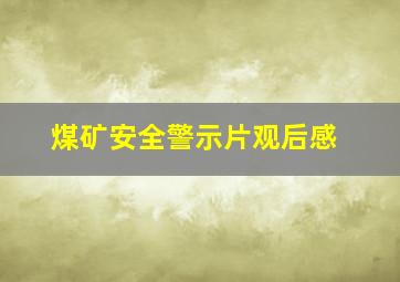 煤矿安全警示片观后感