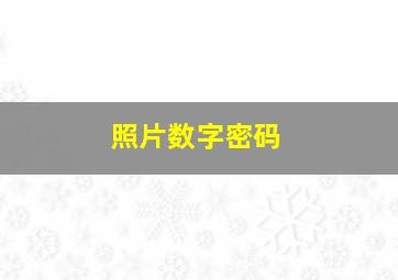 照片数字密码