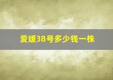 爱媛38号多少钱一株