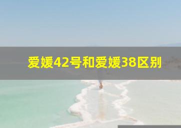 爱媛42号和爱媛38区别