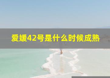 爱媛42号是什么时候成熟