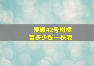 爱媛42号柑橘苗多少钱一株呢