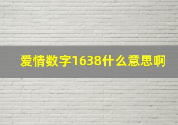 爱情数字1638什么意思啊