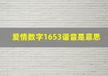 爱情数字1653谐音是意思