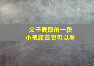 父子截取的一段小视频在哪可以看