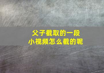 父子截取的一段小视频怎么截的呢