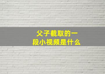 父子截取的一段小视频是什么