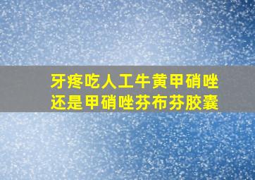 牙疼吃人工牛黄甲硝唑还是甲硝唑芬布芬胶囊