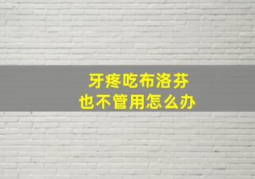 牙疼吃布洛芬也不管用怎么办