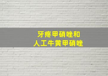 牙疼甲硝唑和人工牛黄甲硝唑