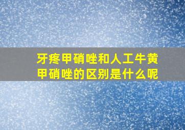 牙疼甲硝唑和人工牛黄甲硝唑的区别是什么呢