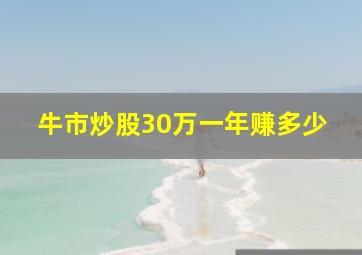 牛市炒股30万一年赚多少