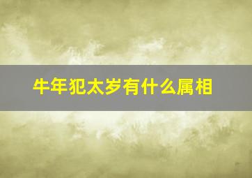 牛年犯太岁有什么属相