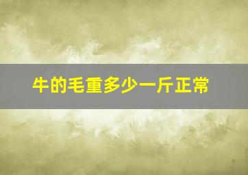 牛的毛重多少一斤正常