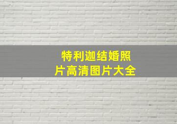 特利迦结婚照片高清图片大全