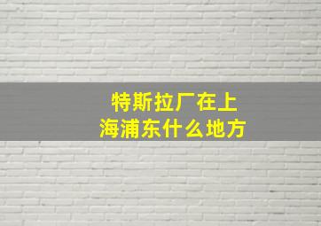 特斯拉厂在上海浦东什么地方