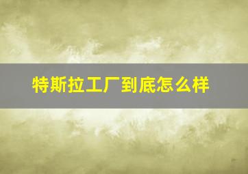 特斯拉工厂到底怎么样