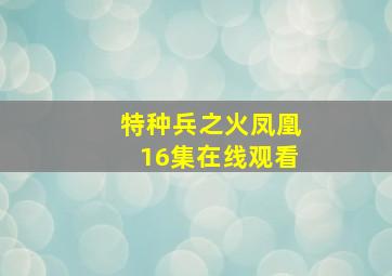 特种兵之火凤凰16集在线观看