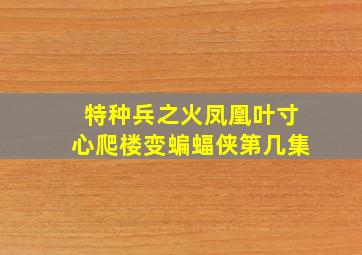 特种兵之火凤凰叶寸心爬楼变蝙蝠侠第几集