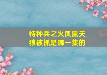 特种兵之火凤凰天狼被抓是哪一集的