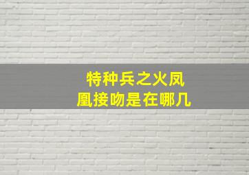 特种兵之火凤凰接吻是在哪几