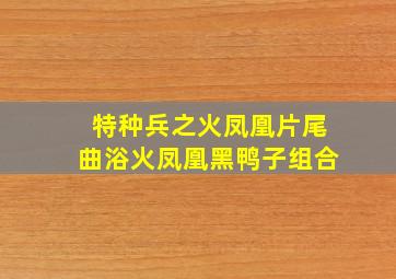 特种兵之火凤凰片尾曲浴火凤凰黑鸭子组合