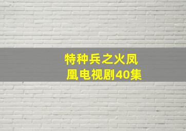 特种兵之火凤凰电视剧40集