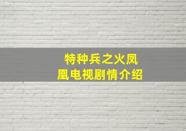 特种兵之火凤凰电视剧情介绍