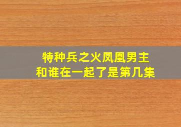 特种兵之火凤凰男主和谁在一起了是第几集