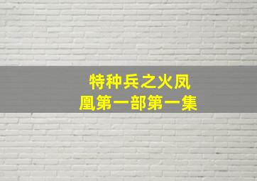 特种兵之火凤凰第一部第一集