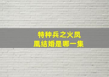 特种兵之火凤凰结婚是哪一集