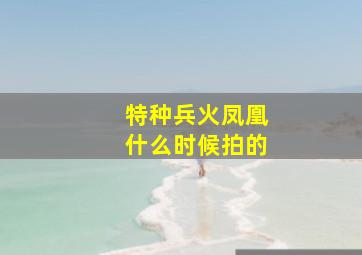 特种兵火凤凰什么时候拍的