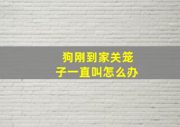 狗刚到家关笼子一直叫怎么办