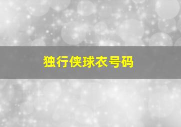 独行侠球衣号码